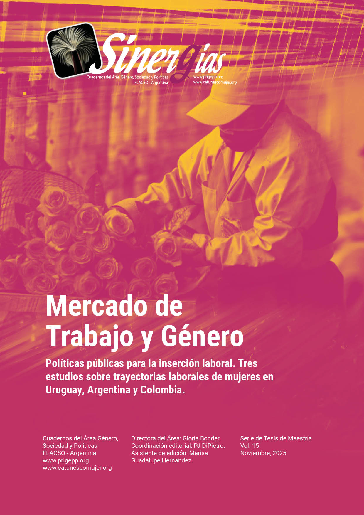 Sinergias Vol.14